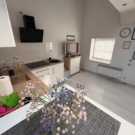 Andromeda * Estetino